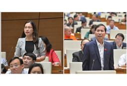 Không để sai sót tái diễn ở sách giáo khoa lớp 2 và lớp 6